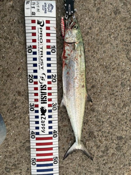 今日も海の恵みに感謝