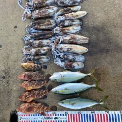 爆釣モードに突入