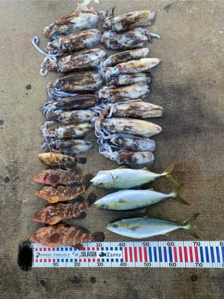 爆釣モードに突入