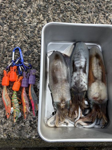 満月のエギング