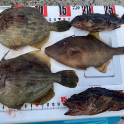 シロギスタ:久々の沖堤防