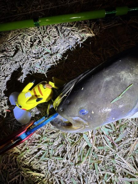 ピカチュウフィッシング