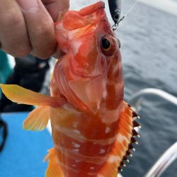 やっぱりSLJはおもしろい!