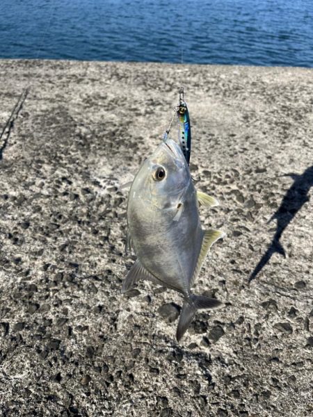 ライトショアジギング