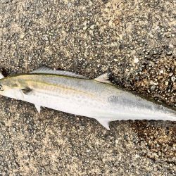 信じて投げ続ける