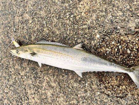 信じて投げ続ける