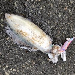 オールナイト釣行