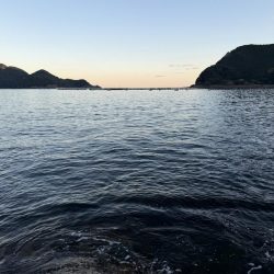 渋いながら嬉しい1杯