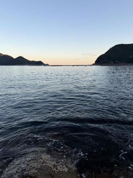 渋いながら嬉しい1杯