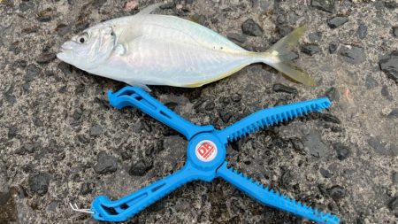 鯵を探して三千里 Vol.95