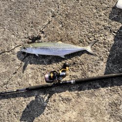 バラしまくったけど