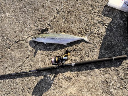 バラしまくったけど