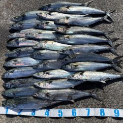 初経験と感謝の日