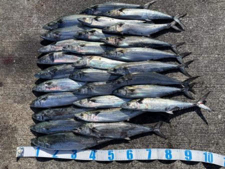 初経験と感謝の日