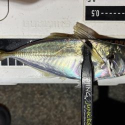 アドレナリン出た〜！