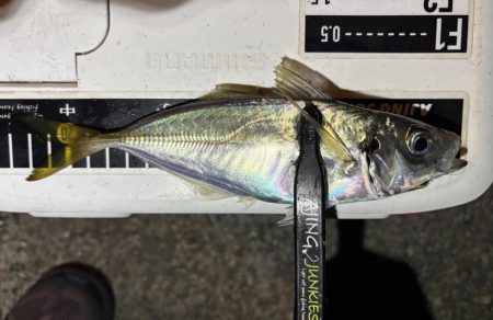 アドレナリン出た〜！