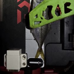 久しぶりの釣行