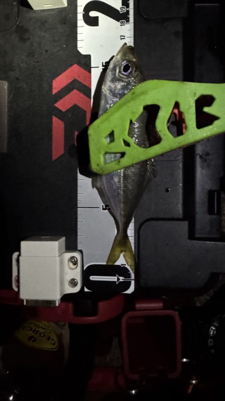 久しぶりの釣行