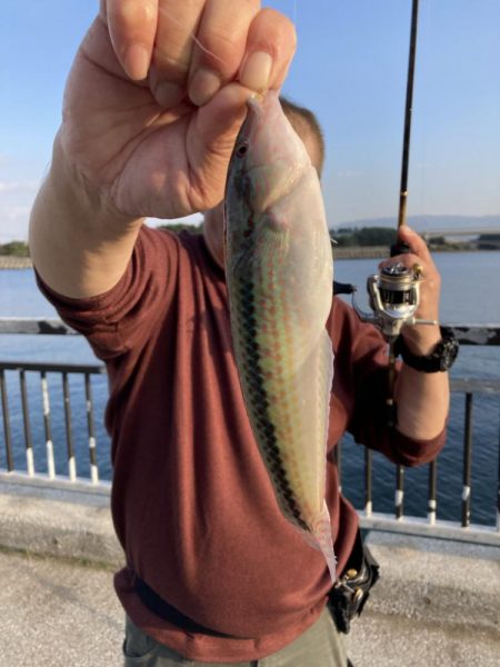 貝塚水路　夜釣り