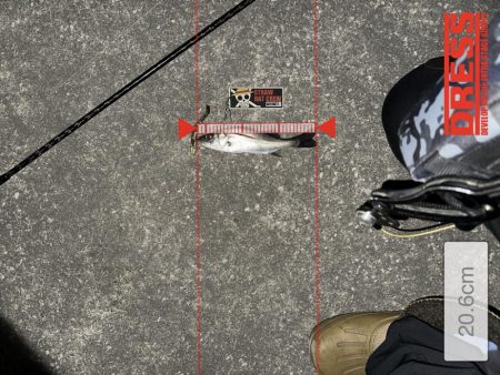 どんどん小さくなる…