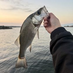 久しぶりの海釣り