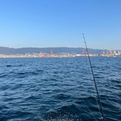 神戸沖キャスティング