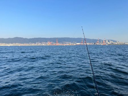 神戸沖キャスティング