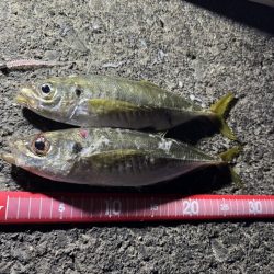 一日中浜辺滞在🌊