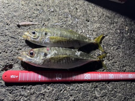 一日中浜辺滞在🌊