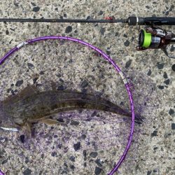 けっこう寒かった