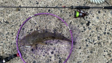 けっこう寒かった