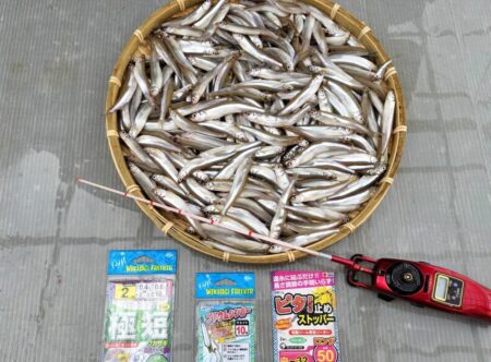 諏訪湖ワカサギ釣り！