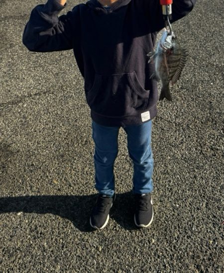 久しぶりの貝塚