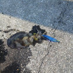 厳しい沖堤(泣)