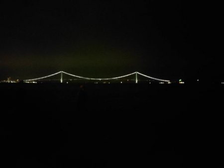 カワハギ後、タチウオ。