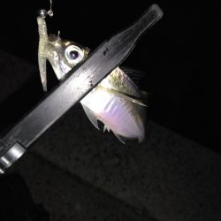 今日は負けない！