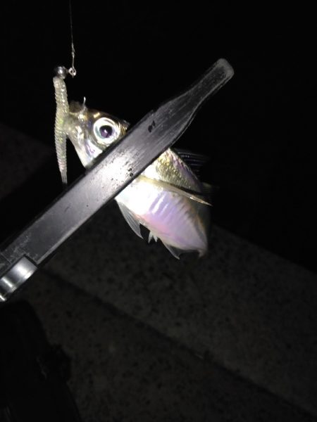 今日は負けない！