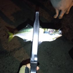 場所が変われば釣果も変わる？