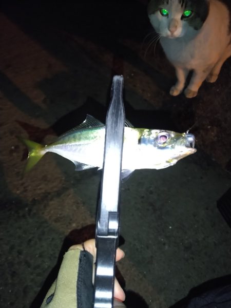 場所が変われば釣果も変わる？