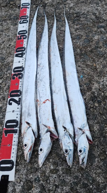 釣り易い釣れない魚