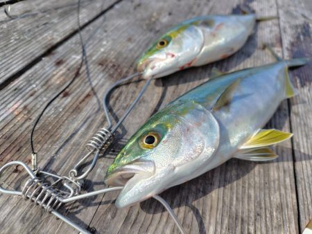 筏でショアジギング