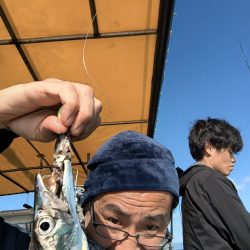 大阪湾船タチ好調