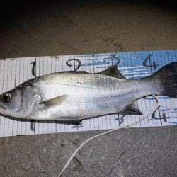 強風によりランガン