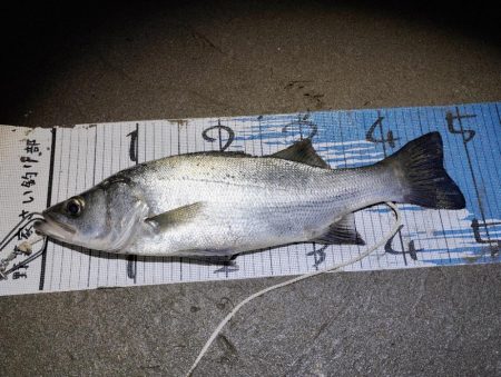 強風によりランガン