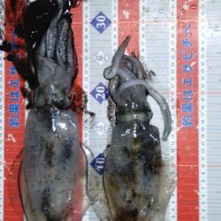 リメイク餌木で2連発🦑