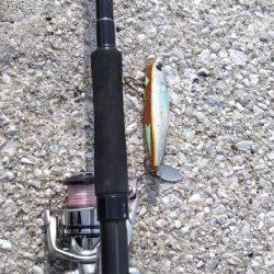 青物トップ狙いで自己最長チヌ!?