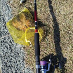 すんなりタコ君