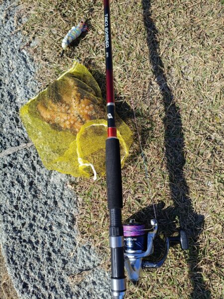 すんなりタコ君