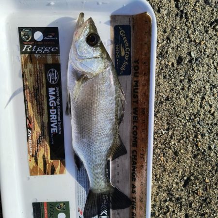 たまにはこんな日も🌟