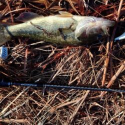 ひさしぶりのバス！